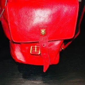 Gucci | Bags | Gucci 52698 Gg Marmont Liber Taiga Cat Head 